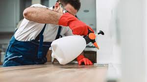 Best Pest Prevention Services  in Springmont, PA